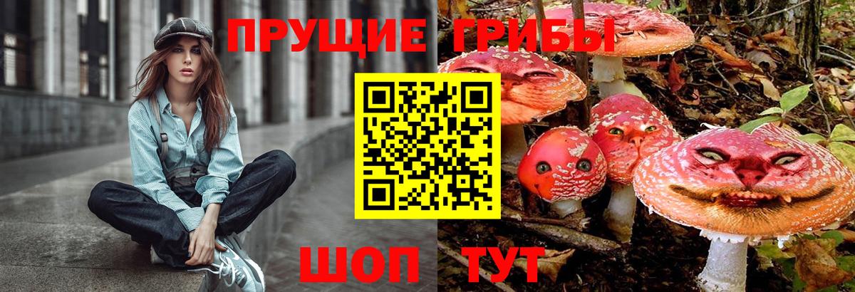Орехово-Зуево  Псилоцибиновые грибы Cubensis  Вход с VPN 